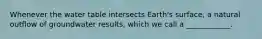 Whenever the water table intersects Earth's surface, a natural outflow of groundwater results, which we call a ____________.