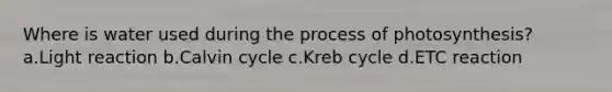 Where is water used during the process of photosynthesis? a.Light reaction b.Calvin cycle c.Kreb cycle d.ETC reaction