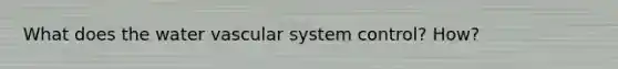 What does the water vascular system control? How?