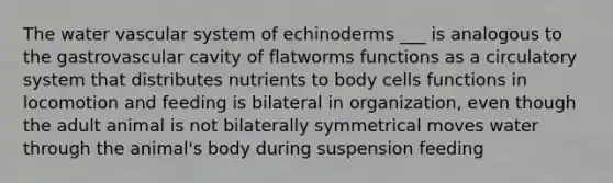 The water vascular system of echinoderms ___ is analogous to the gastrovascular cavity of flatworms functions as a circulatory system that distributes nutrients to body cells functions in locomotion and feeding is bilateral in organization, even though the adult animal is not bilaterally symmetrical moves water through the animal's body during suspension feeding