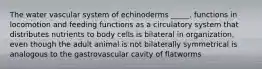 The water vascular system of echinoderms _____. functions in locomotion and feeding functions as a circulatory system that distributes nutrients to body cells is bilateral in organization, even though the adult animal is not bilaterally symmetrical is analogous to the gastrovascular cavity of flatworms