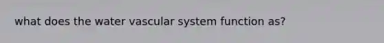 what does the water vascular system function as?