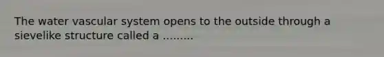 The water vascular system opens to the outside through a sievelike structure called a .........