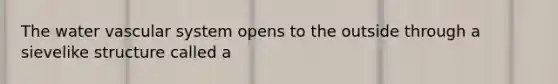 The water vascular system opens to the outside through a sievelike structure called a