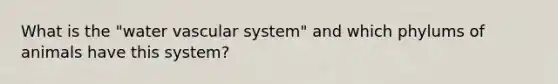 What is the "water vascular system" and which phylums of animals have this system?