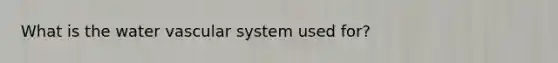 What is the water vascular system used for?