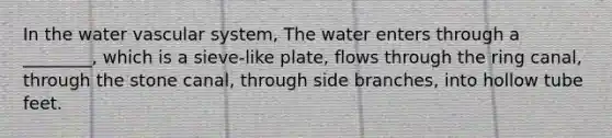 In the water vascular system, The water enters through a ________, which is a sieve-like plate, flows through the ring canal, through the stone canal, through side branches, into hollow tube feet.