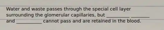 Water and waste passes through the special cell layer surrounding the glomerular capillaries, but __________ ________ and ___________ cannot pass and are retained in the blood.