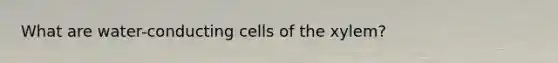 What are water-conducting cells of the xylem?