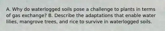 A. Why do waterlogged soils pose a challenge to plants in terms of gas exchange? B. Describe the adaptations that enable water lilies, mangrove trees, and rice to survive in waterlogged soils.