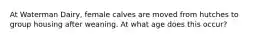 At Waterman Dairy, female calves are moved from hutches to group housing after weaning. At what age does this occur?