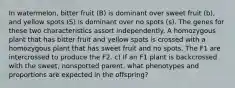 In watermelon, bitter fruit (B) is dominant over sweet fruit (b), and yellow spots (S) is dominant over no spots (s). The genes for these two characteristics assort independently. A homozygous plant that has bitter fruit and yellow spots is crossed with a homozygous plant that has sweet fruit and no spots. The F1 are intercrossed to produce the F2. c) If an F1 plant is backcrossed with the sweet, nonspotted parent, what phenotypes and proportions are expected in the offspring?