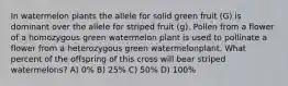 In watermelon plants the allele for solid green fruit (G) is dominant over the allele for striped fruit (g). Pollen from a flower of a homozygous green watermelon plant is used to pollinate a flower from a heterozygous green watermelonplant. What percent of the offspring of this cross will bear striped watermelons? A) 0% B) 25% C) 50% D) 100%