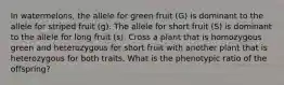 In watermelons, the allele for green fruit (G) is dominant to the allele for striped fruit (g). The allele for short fruit (S) is dominant to the allele for long fruit (s). Cross a plant that is homozygous green and heterozygous for short fruit with another plant that is heterozygous for both traits. What is the phenotypic ratio of the offspring?