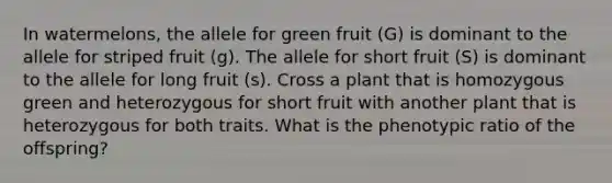 In watermelons, the allele for green fruit (G) is dominant to the allele for striped fruit (g). The allele for short fruit (S) is dominant to the allele for long fruit (s). Cross a plant that is homozygous green and heterozygous for short fruit with another plant that is heterozygous for both traits. What is the phenotypic ratio of the offspring?