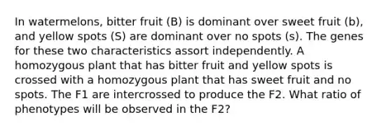 In watermelons, bitter fruit (B) is dominant over sweet fruit (b), and yellow spots (S) are dominant over no spots (s). The genes for these two characteristics assort independently. A homozygous plant that has bitter fruit and yellow spots is crossed with a homozygous plant that has sweet fruit and no spots. The F1 are intercrossed to produce the F2. What ratio of phenotypes will be observed in the F2?