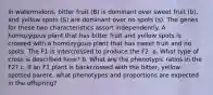 In watermelons, bitter fruit (B) is dominant over sweet fruit (b), and yellow spots (S) are dominant over no spots (s). The genes for these two characteristics assort independently. A homozygous plant that has bitter fruit and yellow spots is crossed with a homozygous plant that has sweet fruit and no spots. The F1 is intercrossed to produce the F2. a. What type of cross is described here? b. What are the phenotypic ratios in the F2? c. If an F1 plant is backcrossed with the bitter, yellow spotted parent, what phenotypes and proportions are expected in the offspring?