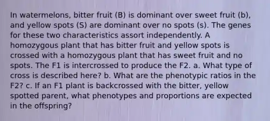 In watermelons, bitter fruit (B) is dominant over sweet fruit (b), and yellow spots (S) are dominant over no spots (s). The genes for these two characteristics assort independently. A homozygous plant that has bitter fruit and yellow spots is crossed with a homozygous plant that has sweet fruit and no spots. The F1 is intercrossed to produce the F2. a. What type of cross is described here? b. What are the phenotypic ratios in the F2? c. If an F1 plant is backcrossed with the bitter, yellow spotted parent, what phenotypes and proportions are expected in the offspring?