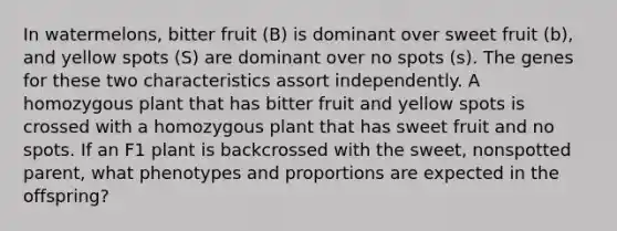 In watermelons, bitter fruit (B) is dominant over sweet fruit (b), and yellow spots (S) are dominant over no spots (s). The genes for these two characteristics assort independently. A homozygous plant that has bitter fruit and yellow spots is crossed with a homozygous plant that has sweet fruit and no spots. If an F1 plant is backcrossed with the sweet, nonspotted parent, what phenotypes and proportions are expected in the offspring?