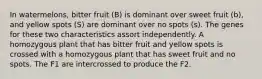 In watermelons, bitter fruit (B) is dominant over sweet fruit (b), and yellow spots (S) are dominant over no spots (s). The genes for these two characteristics assort independently. A homozygous plant that has bitter fruit and yellow spots is crossed with a homozygous plant that has sweet fruit and no spots. The F1 are intercrossed to produce the F2.