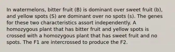 In watermelons, bitter fruit (B) is dominant over sweet fruit (b), and yellow spots (S) are dominant over no spots (s). The genes for these two characteristics assort independently. A homozygous plant that has bitter fruit and yellow spots is crossed with a homozygous plant that has sweet fruit and no spots. The F1 are intercrossed to produce the F2.