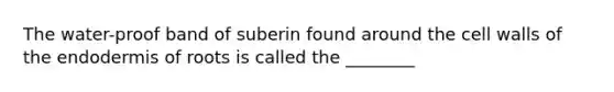 The water-proof band of suberin found around the cell walls of the endodermis of roots is called the ________