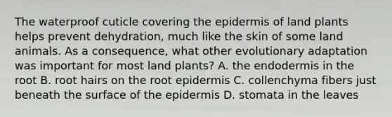 The waterproof cuticle covering the epidermis of land plants helps prevent dehydration, much like the skin of some land animals. As a consequence, what other evolutionary adaptation was important for most land plants? A. the endodermis in the root B. root hairs on the root epidermis C. collenchyma fibers just beneath the surface of the epidermis D. stomata in the leaves