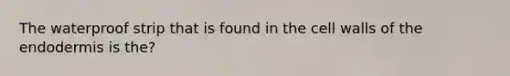 The waterproof strip that is found in the cell walls of the endodermis is the?