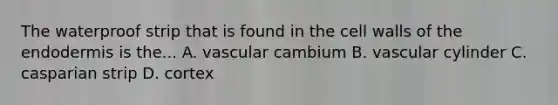 The waterproof strip that is found in the cell walls of the endodermis is the... A. vascular cambium B. vascular cylinder C. casparian strip D. cortex