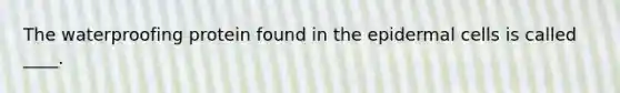 The waterproofing protein found in the epidermal cells is called ____.