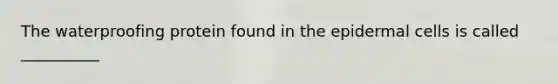 The waterproofing protein found in the epidermal cells is called __________