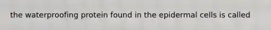 the waterproofing protein found in the epidermal cells is called