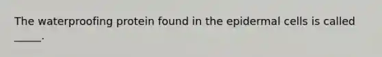 The waterproofing protein found in the epidermal cells is called _____.