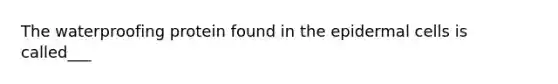 The waterproofing protein found in the epidermal cells is called___
