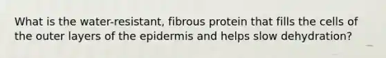 What is the water-resistant, fibrous protein that fills the cells of the outer layers of the epidermis and helps slow dehydration?