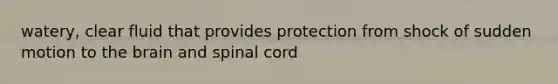 watery, clear fluid that provides protection from shock of sudden motion to the brain and spinal cord