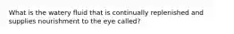 What is the watery fluid that is continually replenished and supplies nourishment to the eye called?