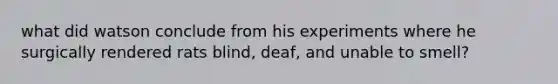 what did watson conclude from his experiments where he surgically rendered rats blind, deaf, and unable to smell?