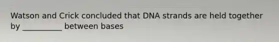 Watson and Crick concluded that DNA strands are held together by __________ between bases