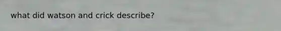 what did watson and crick describe?