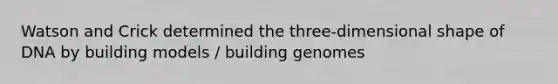 Watson and Crick determined the three-dimensional shape of DNA by building models / building genomes