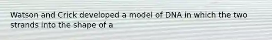 Watson and Crick developed a model of DNA in which the two strands into the shape of a