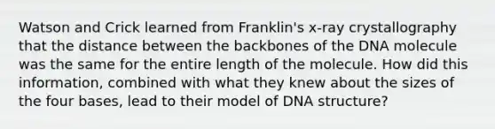 Watson and Crick learned from Franklin's x-ray crystallography that the distance between the backbones of the DNA molecule was the same for the entire length of the molecule. How did this information, combined with what they knew about the sizes of the four bases, lead to their model of <a href='https://www.questionai.com/knowledge/kWBpxS6BsR-dna-structure' class='anchor-knowledge'>dna structure</a>?