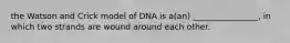 the Watson and Crick model of DNA is a(an) ________________, in which two strands are wound around each other.