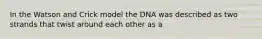 In the Watson and Crick model the DNA was described as two strands that twist around each other as a