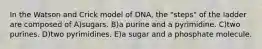 In the Watson and Crick model of DNA, the "steps" of the ladder are composed of A)sugars. B)a purine and a pyrimidine. C)two purines. D)two pyrimidines. E)a sugar and a phosphate molecule.