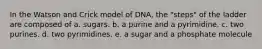 In the Watson and Crick model of DNA, the "steps" of the ladder are composed of a. sugars. b. a purine and a pyrimidine. c. two purines. d. two pyrimidines. e. a sugar and a phosphate molecule