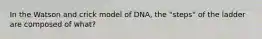 In the Watson and crick model of DNA, the "steps" of the ladder are composed of what?