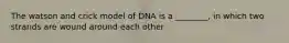 The watson and crick model of DNA is a ________, in which two strands are wound around each other