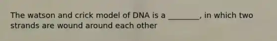 The watson and crick model of DNA is a ________, in which two strands are wound around each other